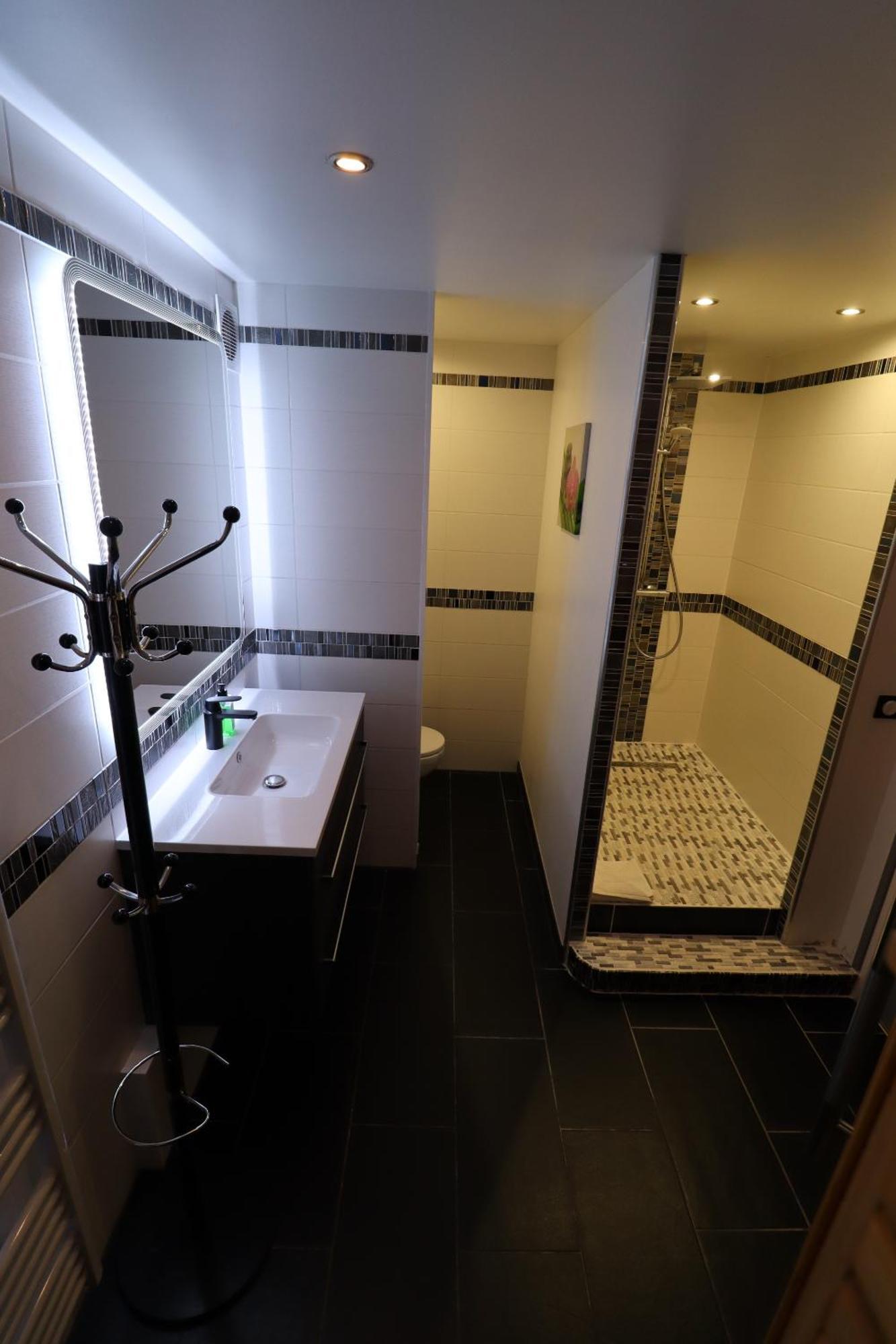 Hotel Le Lotus Blanc Albertville Habitación foto